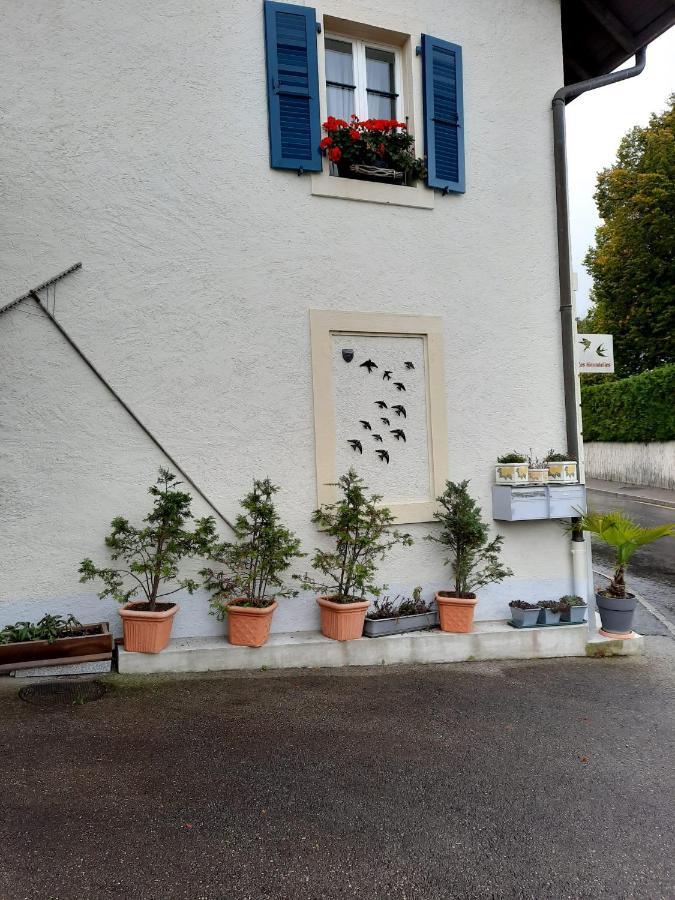 Les Hirondelles, Appartement De Vacances Avec Terrasse Et Coin Grillades Granges Esterno foto