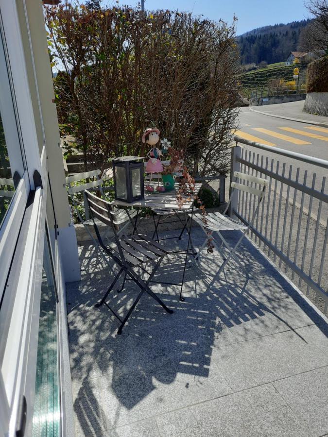 Les Hirondelles, Appartement De Vacances Avec Terrasse Et Coin Grillades Granges Esterno foto